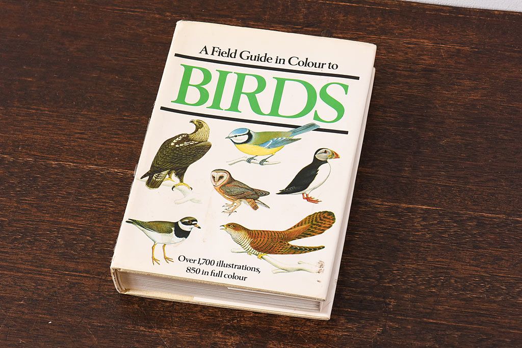 アンティーク雑貨　イギリス　Octpus社 BIRDS カラーイラスト付きフィールドガイドブック(洋書、本)