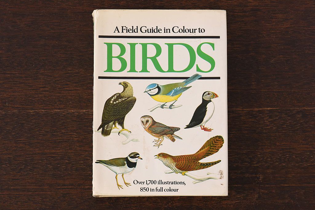 アンティーク雑貨　イギリス　Octpus社 BIRDS カラーイラスト付きフィールドガイドブック(洋書、本)