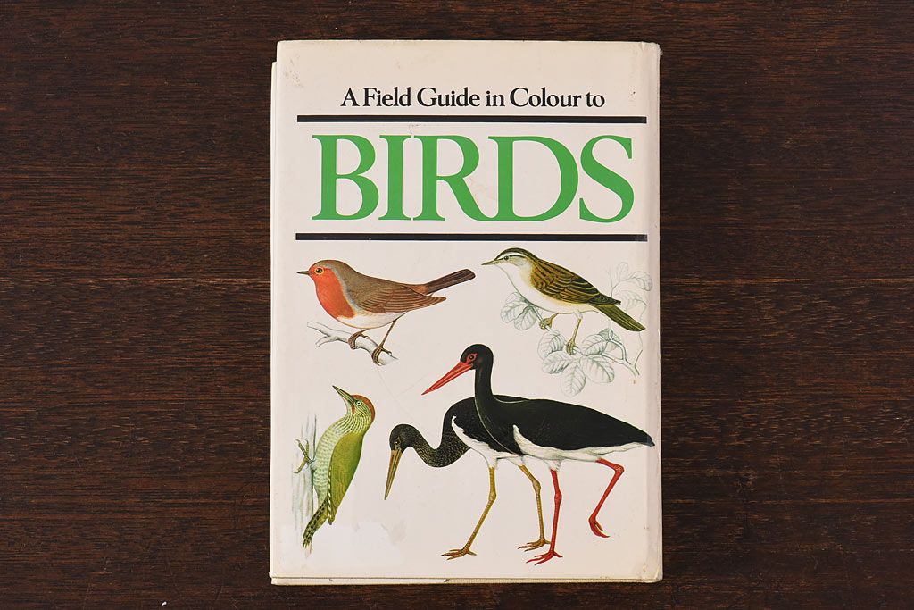 アンティーク雑貨　イギリス　Octpus社 BIRDS カラーイラスト付きフィールドガイドブック(洋書、本)