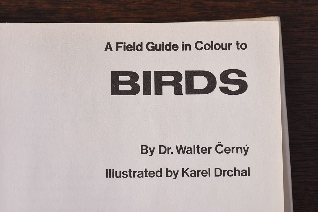 アンティーク雑貨　イギリス　Octpus社 BIRDS カラーイラスト付きフィールドガイドブック(洋書、本)