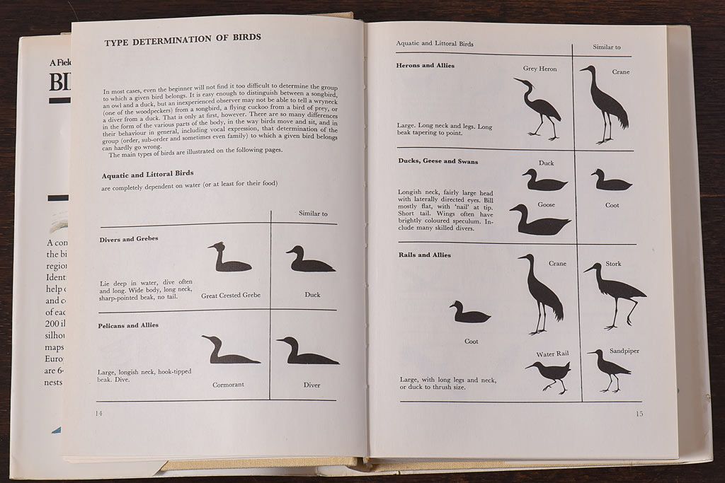 アンティーク雑貨　イギリス　Octpus社 BIRDS カラーイラスト付きフィールドガイドブック(洋書、本)