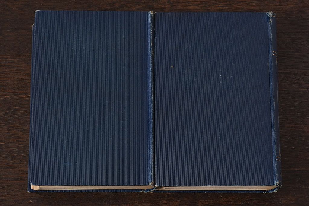 アンティーク雑貨　イギリスアンティーク　CHARLES DICKENS(チャールズ・ディケンズ)　本(洋書、英字本、小説)2冊セット(1)