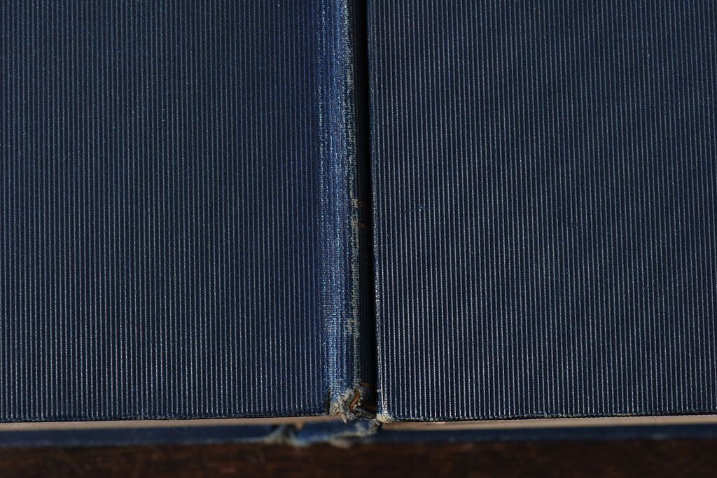 アンティーク雑貨　イギリスアンティーク　CHARLES DICKENS(チャールズ・ディケンズ)　本(洋書、英字本、小説)2冊セット(1)