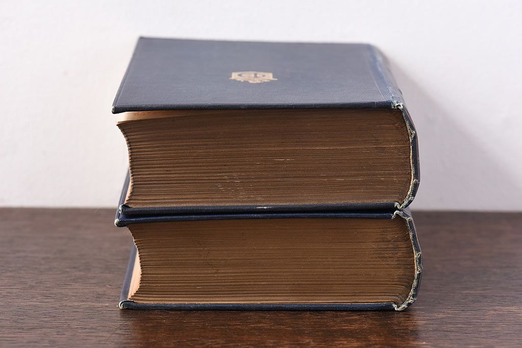 アンティーク雑貨　イギリスアンティーク　CHARLES DICKENS(チャールズ・ディケンズ)　本(洋書、英字本、小説)2冊セット(2)