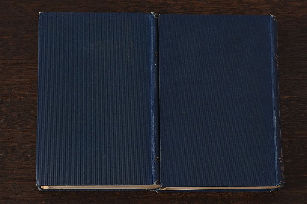 アンティーク雑貨　イギリスアンティーク　CHARLES DICKENS(チャールズ・ディケンズ)　本(洋書、英字本、小説)2冊セット(2)