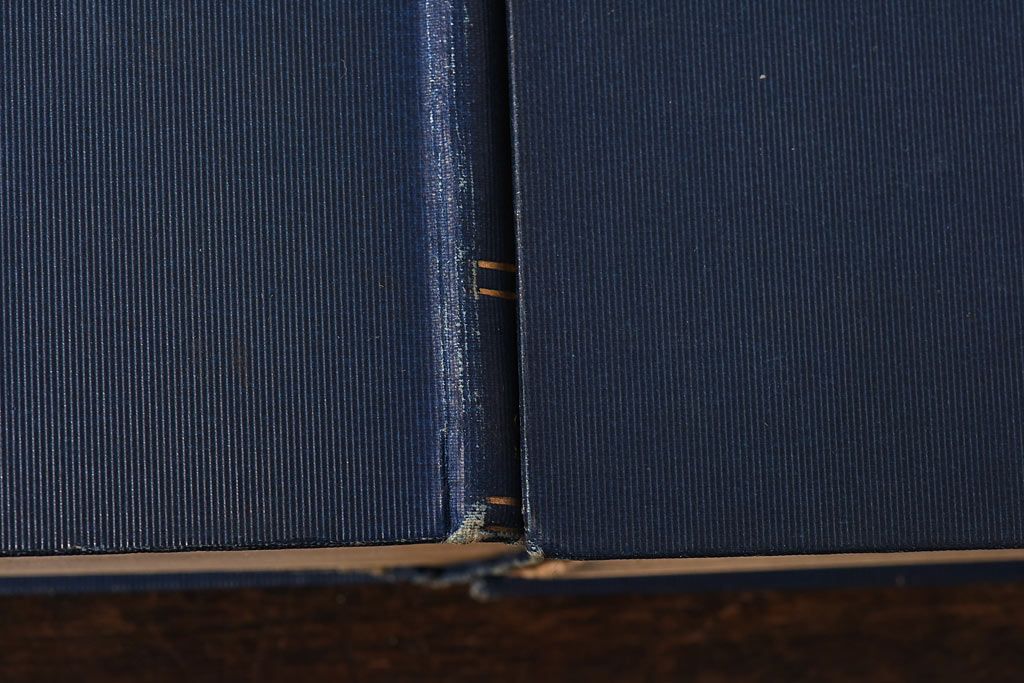 アンティーク雑貨　イギリスアンティーク　CHARLES DICKENS(チャールズ・ディケンズ)　本(洋書、英字本、小説)2冊セット(2)