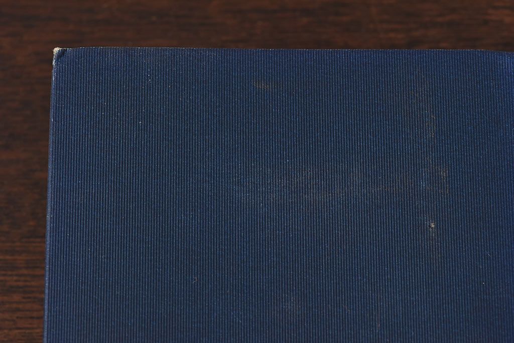 アンティーク雑貨　イギリスアンティーク　CHARLES DICKENS(チャールズ・ディケンズ)　本(洋書、英字本、小説)2冊セット(2)