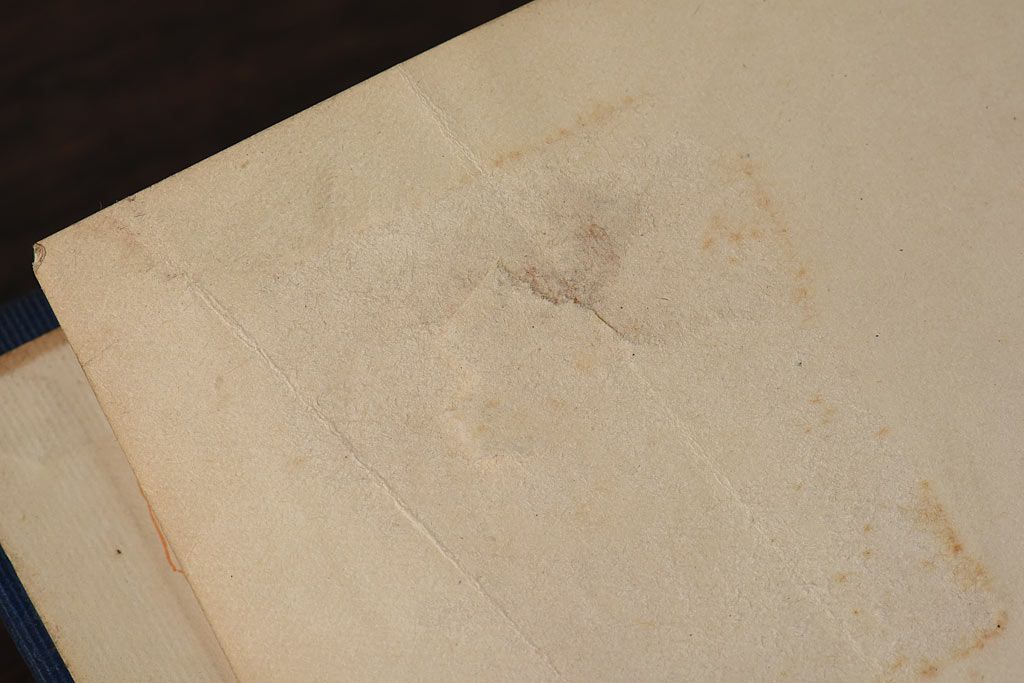 アンティーク雑貨　イギリスアンティーク　CHARLES DICKENS(チャールズ・ディケンズ)　本(洋書、英字本、小説)2冊セット(2)