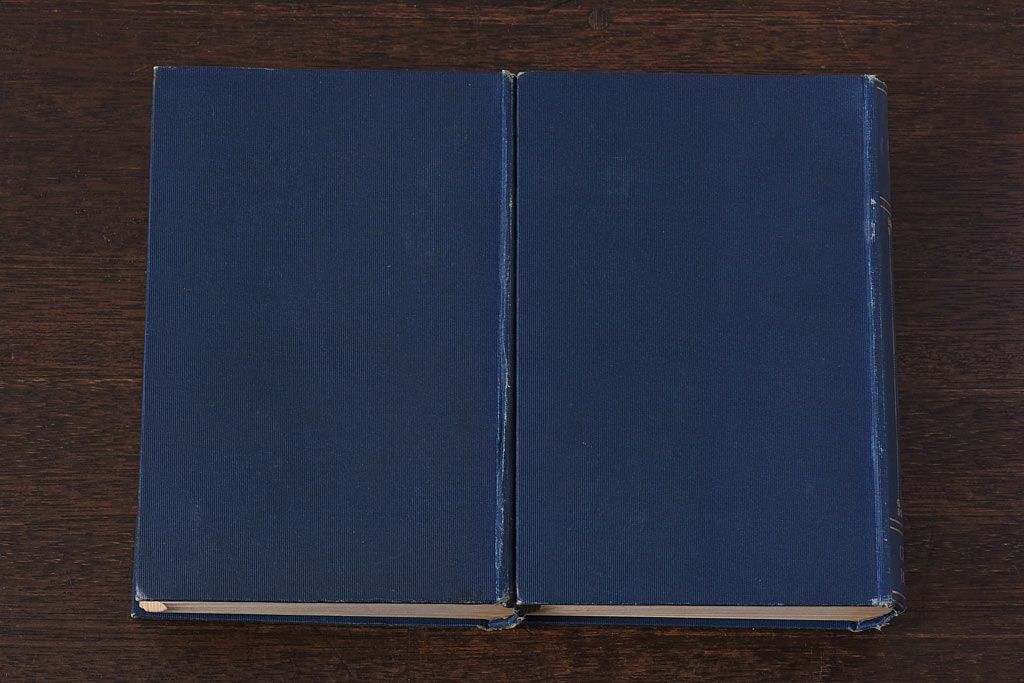 アンティーク雑貨　イギリスアンティーク　CHARLES DICKENS(チャールズ・ディケンズ)　本(洋書、英字本、小説)2冊セット(3)