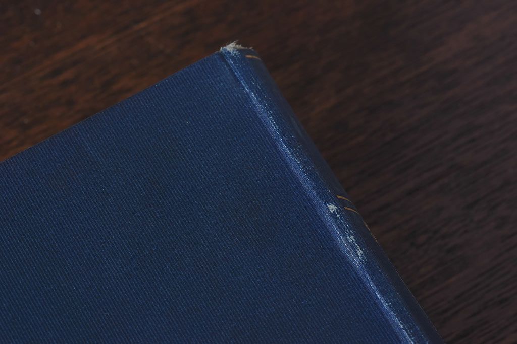 アンティーク雑貨　イギリスアンティーク　CHARLES DICKENS(チャールズ・ディケンズ)　本(洋書、英字本、小説)2冊セット(3)
