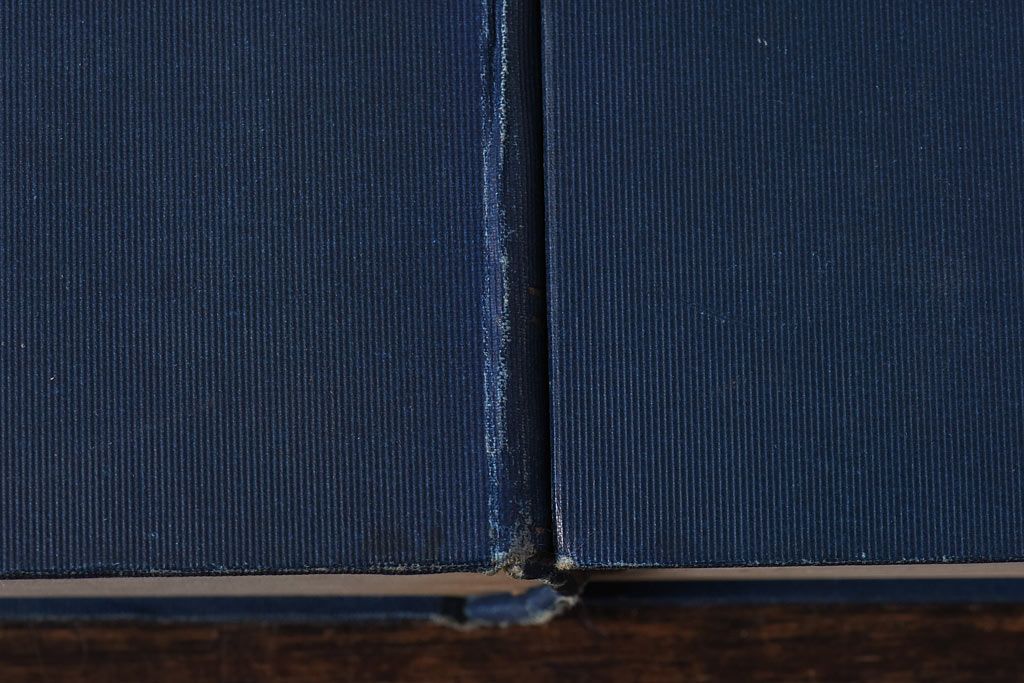 アンティーク雑貨　イギリスアンティーク　CHARLES DICKENS(チャールズ・ディケンズ)　本(洋書、英字本、小説)2冊セット(3)