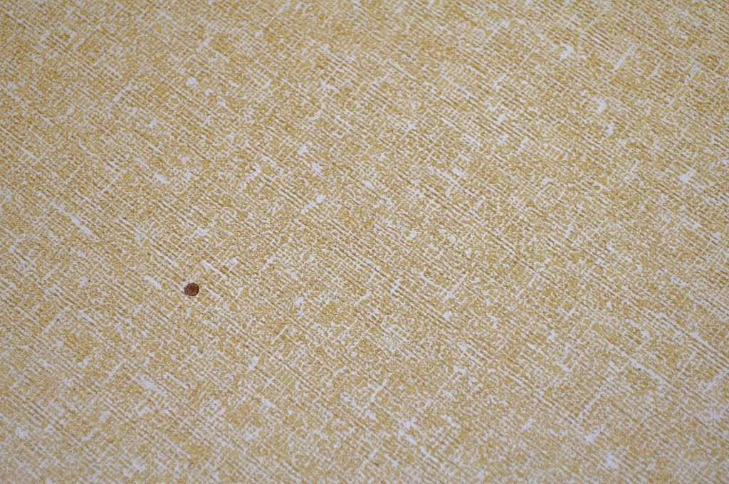 アンティーク家具　古い資料館の展示用ガラスケース(ショーケース)小2