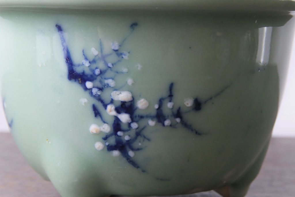 アンティーク雑貨　和製アンティーク　梅の図　渋さのある青磁盆栽鉢(植木鉢)