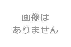 【買取】ニコレッティ(NICOLETTI)の1人掛けソファを買取ました。