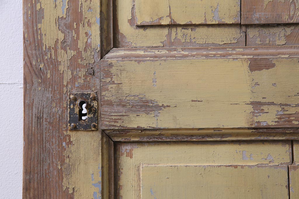 フランスアンティーク　シャビーな風合いがおしゃれなオリジナルペイントの親子ドア(扉、両開き戸、建具)