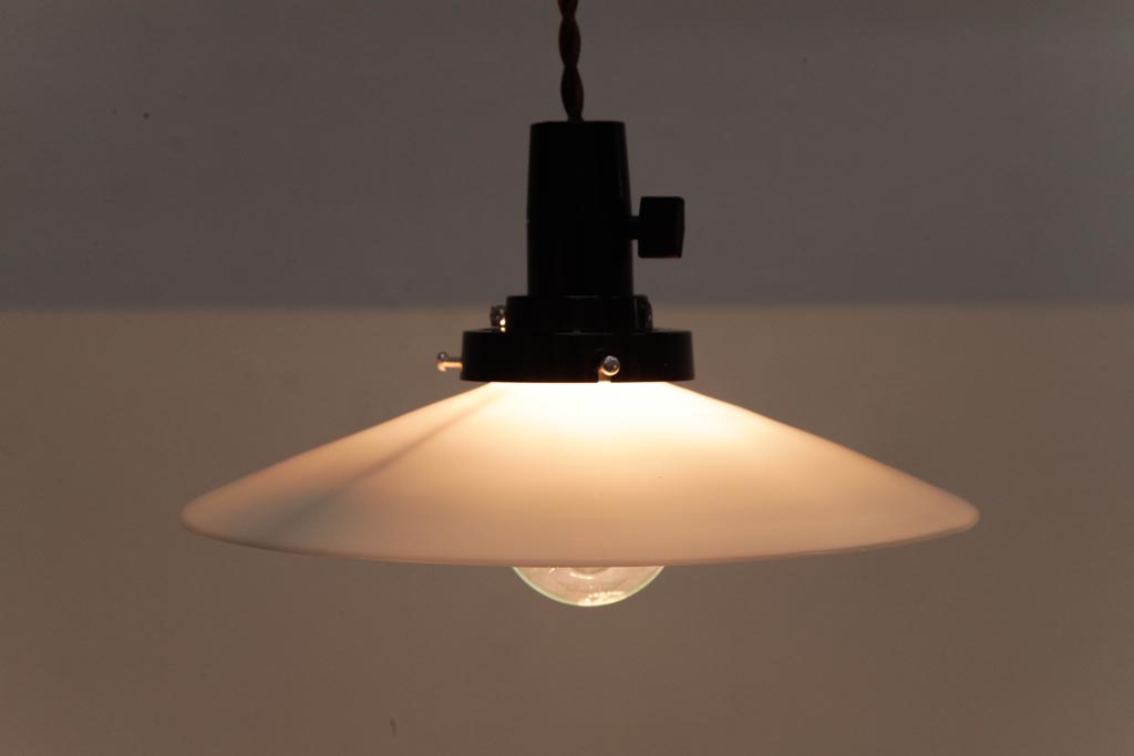 昭和レトロ　戦前　昔懐かしいデザインの平笠シェード(吊り下げ照明、天井照明、ペンダントライト)(3)