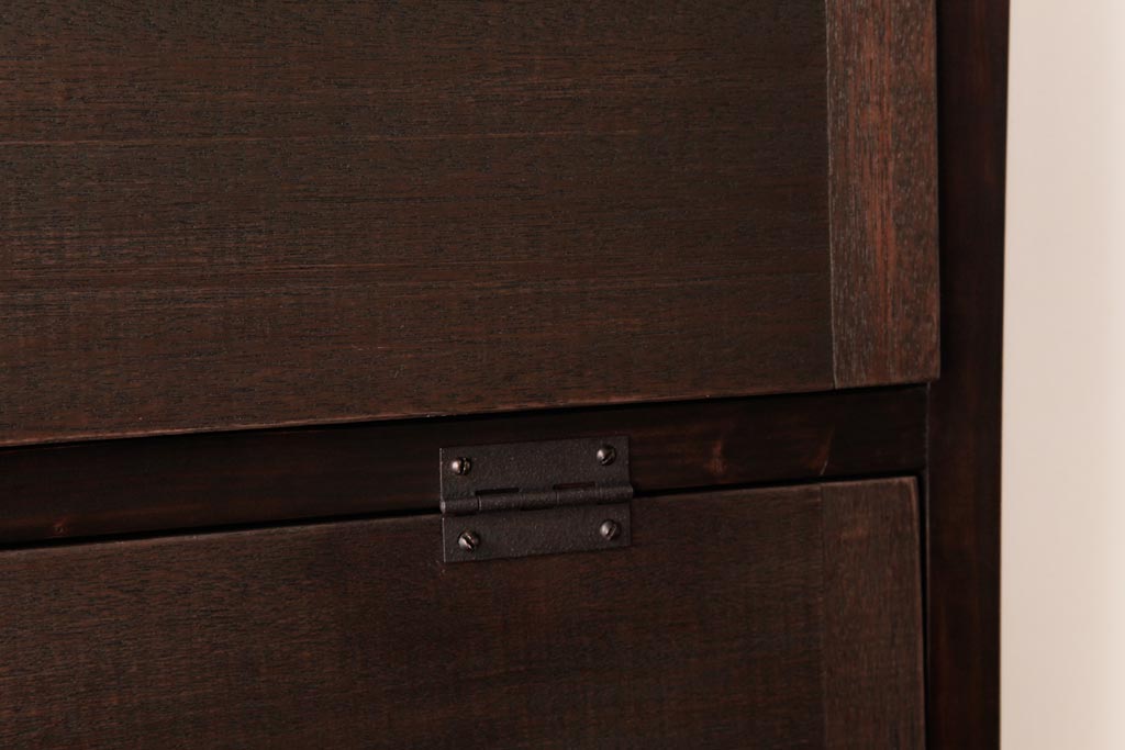 ラフジュ工房オリジナル　渋みのある風合いが魅力的なパタパタ扉の壁掛け収納棚(ウォールシェルフ)(1)