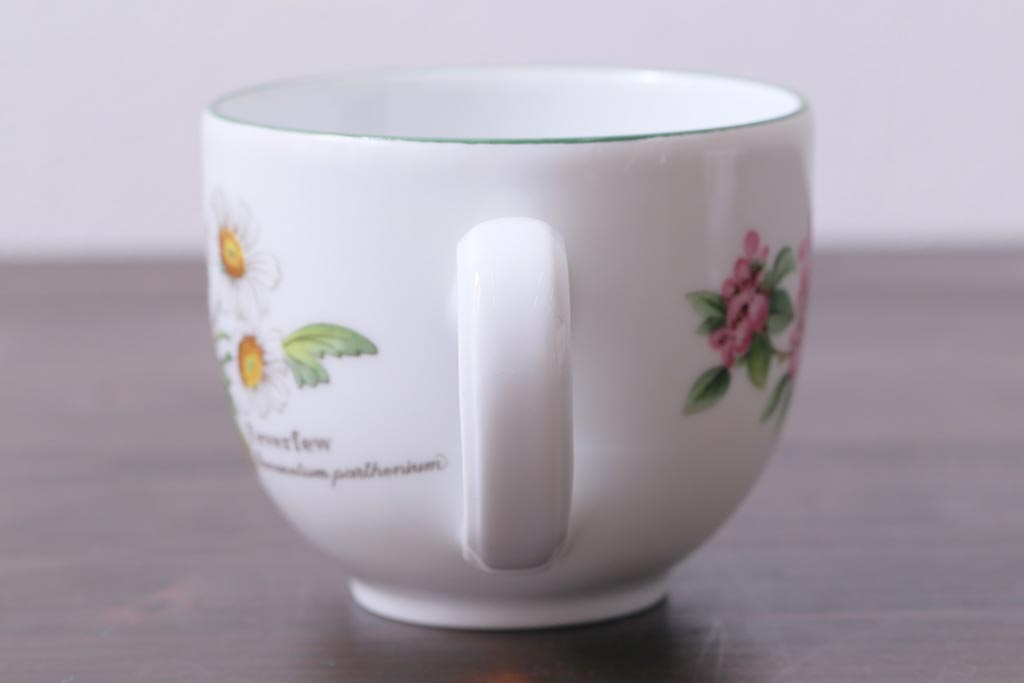 イギリス　ROYAL WORCESTER(ロイヤル ウースター)　HERBS(ハーブス)　カップ&ソーサー2客セット(1)