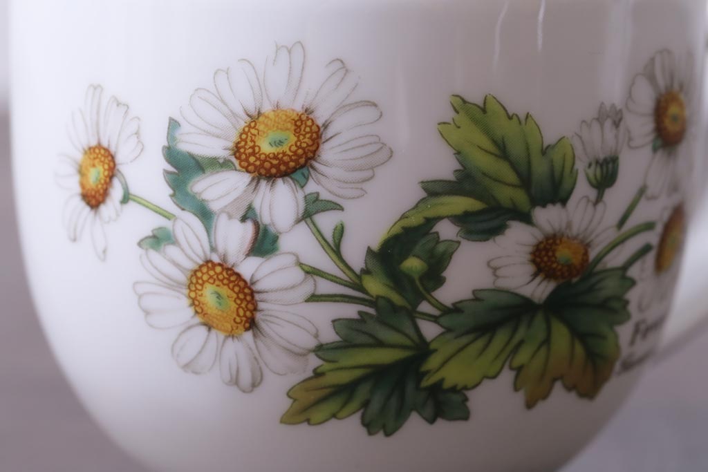 イギリス　ROYAL WORCESTER(ロイヤル ウースター)　HERBS(ハーブス)　カップ&ソーサー2客セット(1)