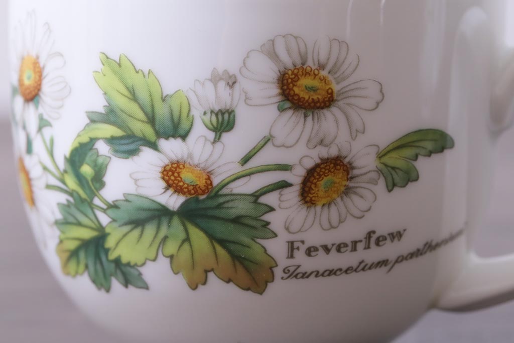 イギリス　ROYAL WORCESTER(ロイヤル ウースター)　HERBS(ハーブス)　カップ&ソーサー2客セット(1)