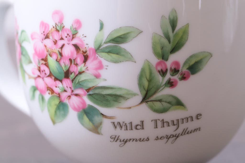 イギリス　ROYAL WORCESTER(ロイヤル ウースター)　HERBS(ハーブス)　カップ&ソーサー2客セット(1)