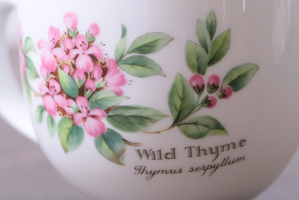 イギリス　ROYAL WORCESTER(ロイヤル ウースター)　HERBS(ハーブス)　カップ&ソーサー2客セット(2)