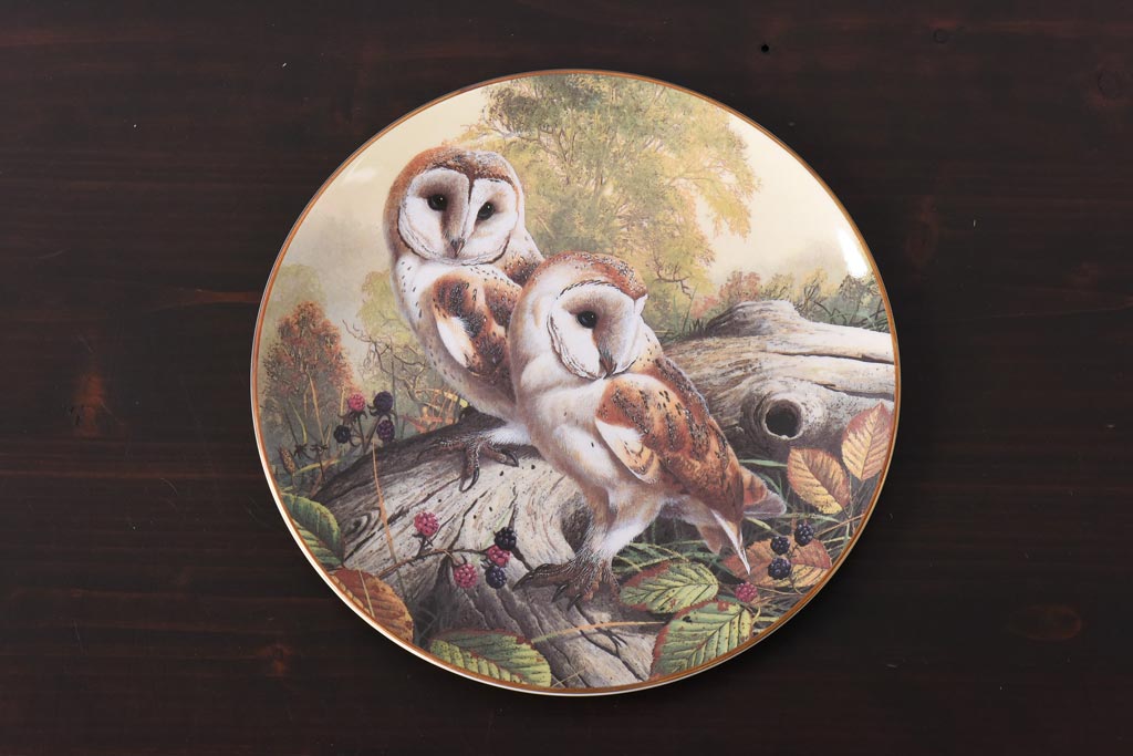 未使用品　ROYAL DOULTON(ロイヤルドルトン)　BRITISH OWLS　プレート(皿、洋食器)(1)