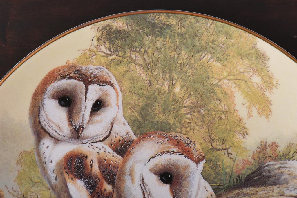 未使用品　ROYAL DOULTON(ロイヤルドルトン)　BRITISH OWLS　プレート(皿、洋食器)(1)