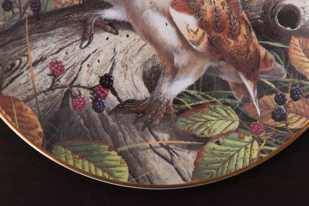 未使用品　ROYAL DOULTON(ロイヤルドルトン)　BRITISH OWLS　プレート(皿、洋食器)(1)