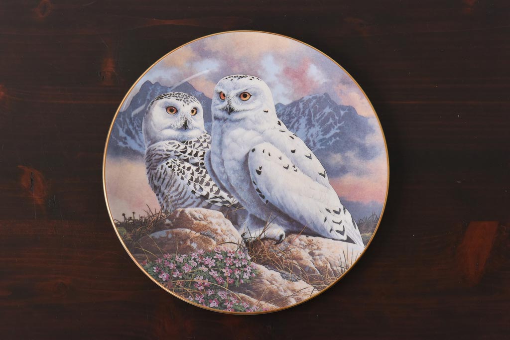 未使用品　ROYAL DOULTON(ロイヤルドルトン)　BRITISH OWLS　プレート(皿、洋食器)(2)