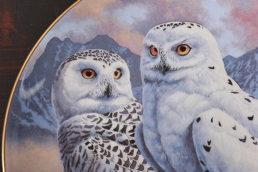 未使用品　ROYAL DOULTON(ロイヤルドルトン)　BRITISH OWLS　プレート(皿、洋食器)(2)