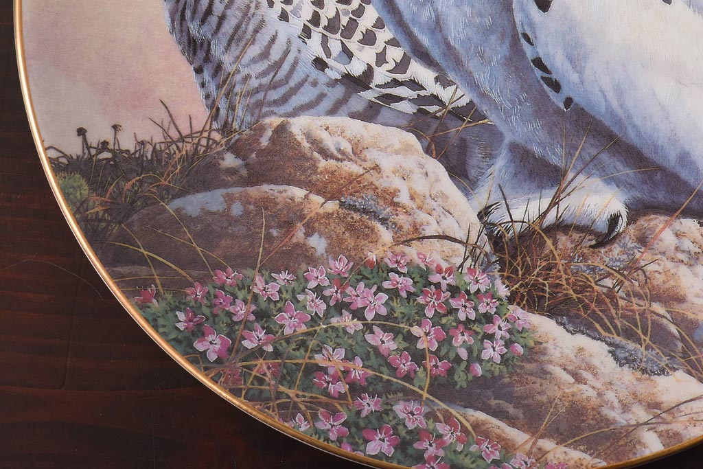 未使用品　ROYAL DOULTON(ロイヤルドルトン)　BRITISH OWLS　プレート(皿、洋食器)(2)