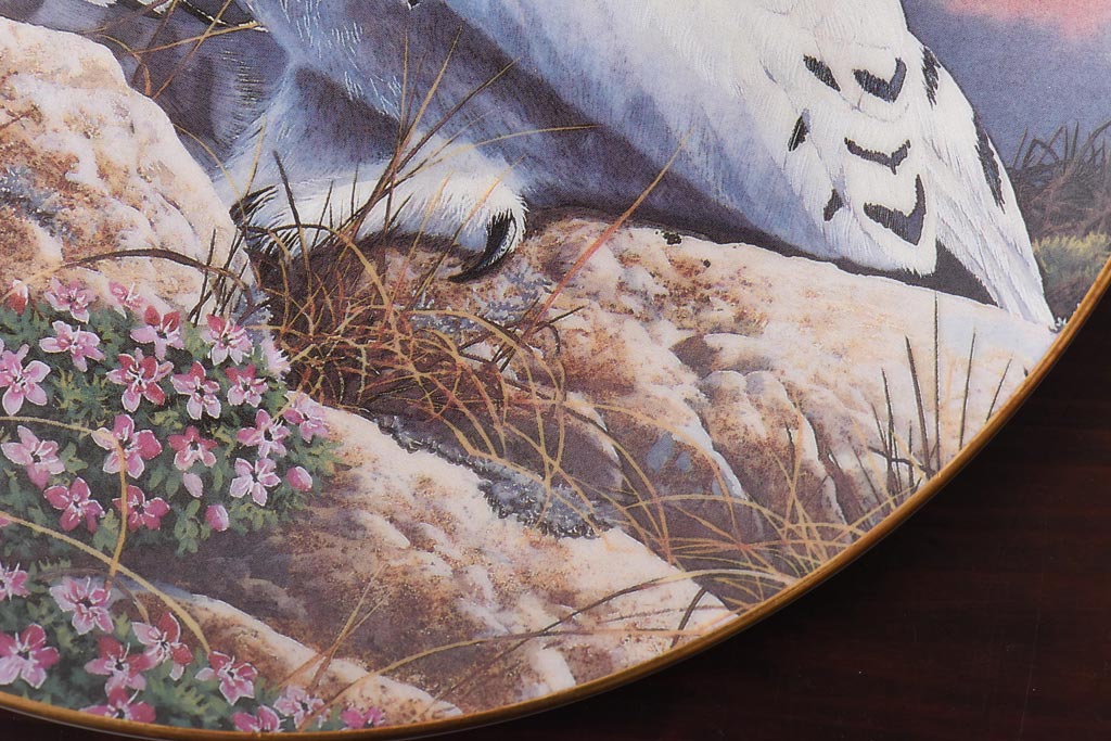 未使用品　ROYAL DOULTON(ロイヤルドルトン)　BRITISH OWLS　プレート(皿、洋食器)(2)