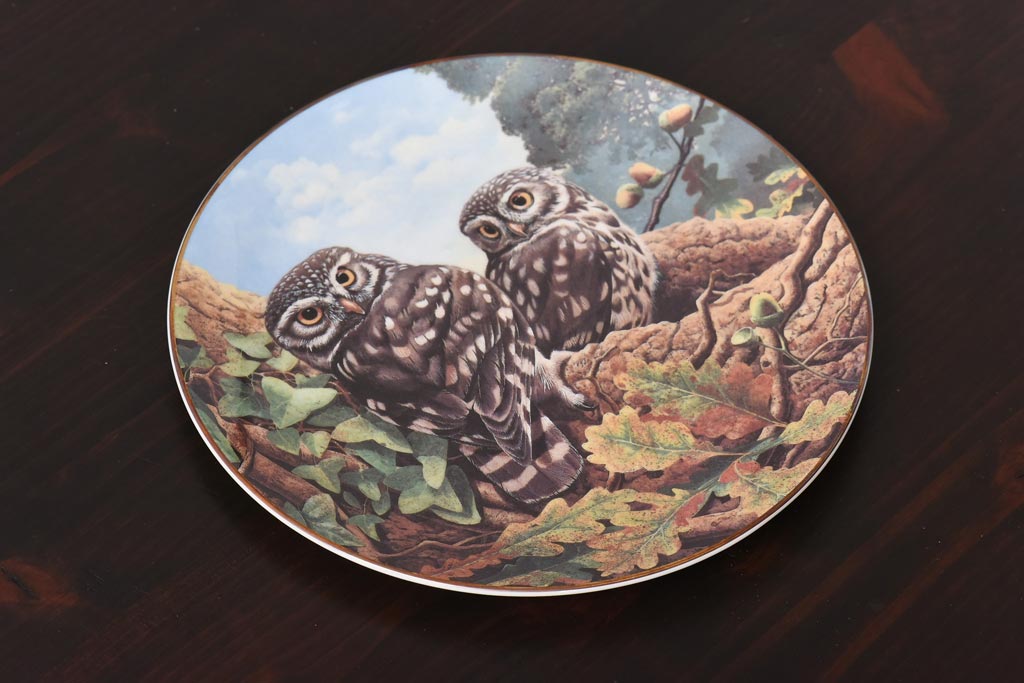 未使用品　ROYAL DOULTON(ロイヤルドルトン)　BRITISH OWLS　プレート(皿、洋食器)(3)