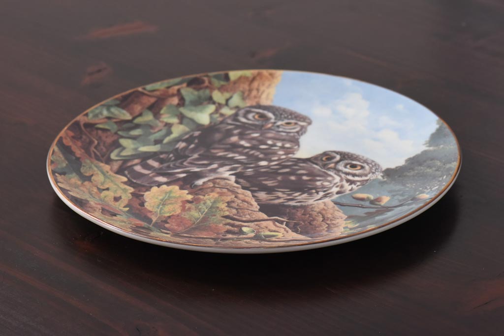 未使用品　ROYAL DOULTON(ロイヤルドルトン)　BRITISH OWLS　プレート(皿、洋食器)(3)