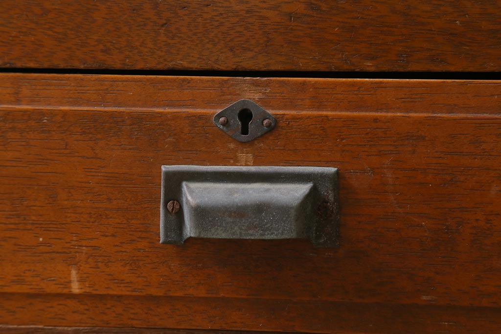 アンティーク家具　和製アンティーク　昭和初期　レトロな佇まいの本箱(ブックケース、収納棚、戸棚、キャビネット)(R-039275)