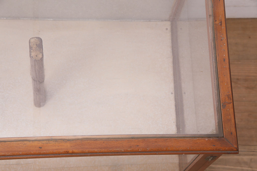 レトロ家具　昭和中期　扉タイプ　コレクションのディスプレイにおすすめなガラスケース(人形ケース、ショーケース)(R-040429)
