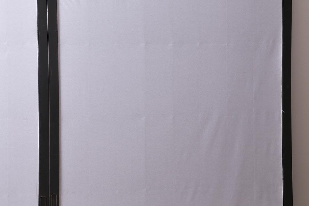 アンティーク建具　大正昭和初期　幅広サイズ　和の風情を演出する障子戸2枚セット(格子戸、引き戸)(R-041584)