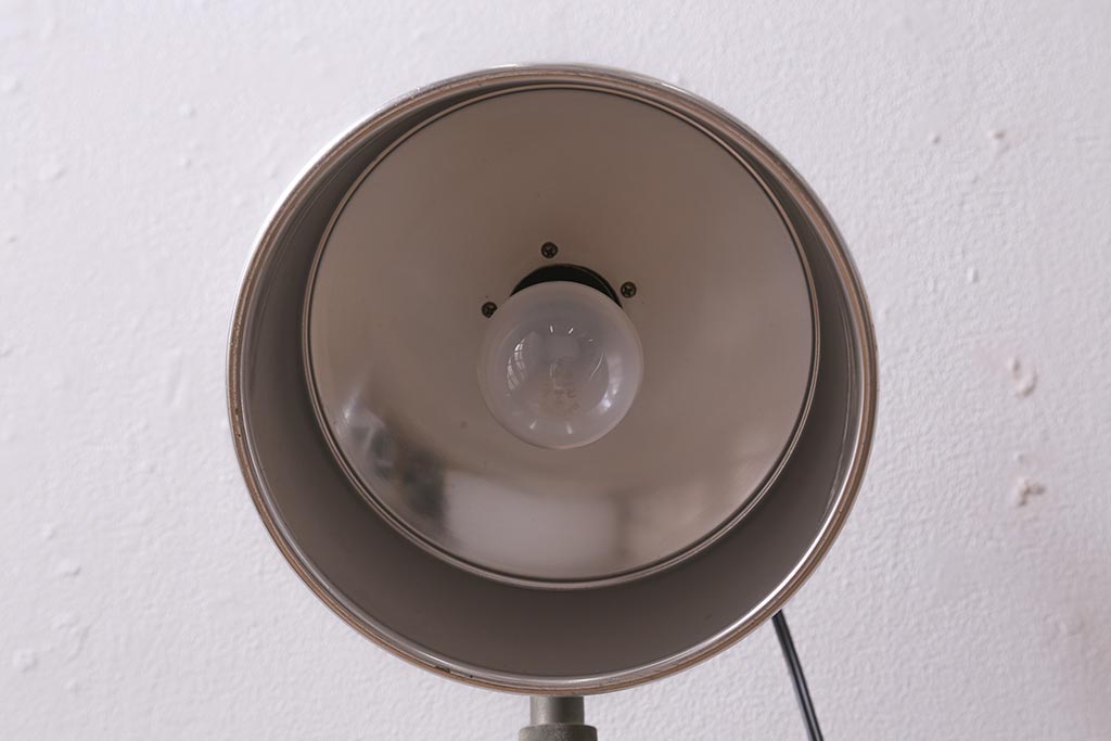 レトロ照明　ビンテージスタイルにもおすすめなアイアン製のスタンドライト(フロアスタンド)(R-043368)