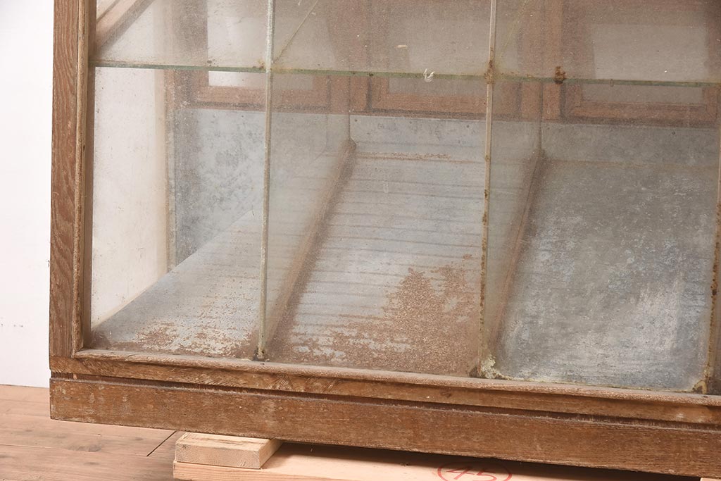 アンティーク家具　昭和中期　ナラ材　味のある風合いが魅力のレトロなガラスケース(ショーケース、陳列棚、マス目)(R-044067)