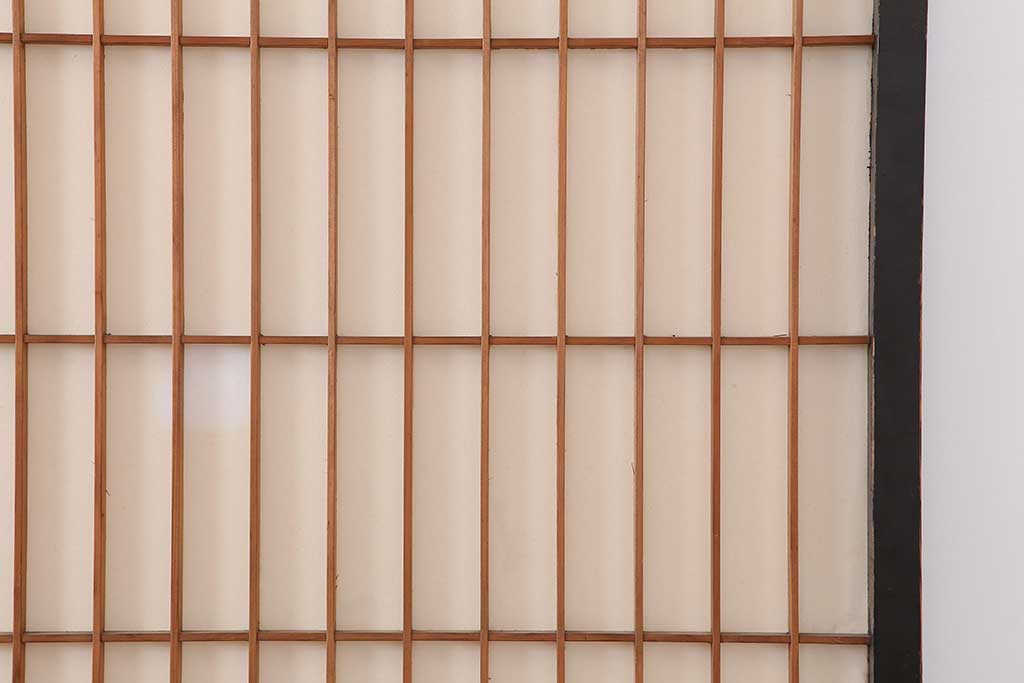 から厳選した アンティーク建具 和製アンティーク 腰板ケヤキ 漆塗り 上手物 建具