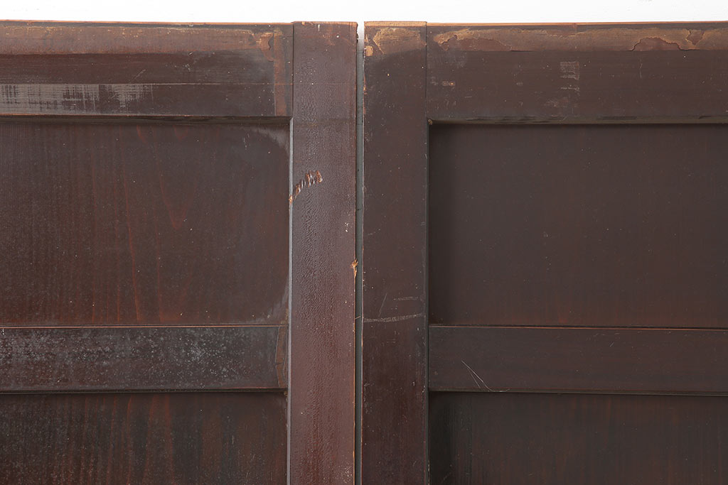 アンティーク建具　和製アンティーク　明治期　存在感たっぷりの舞良戸2枚セット(蔵戸、玄関戸、引き戸、建具)(R-044846)