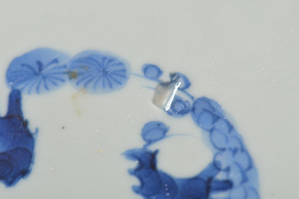 江戸期　古伊万里　大明成化年製　蛸唐草文　七寸皿2枚(変形皿、和食器)(R-044919)