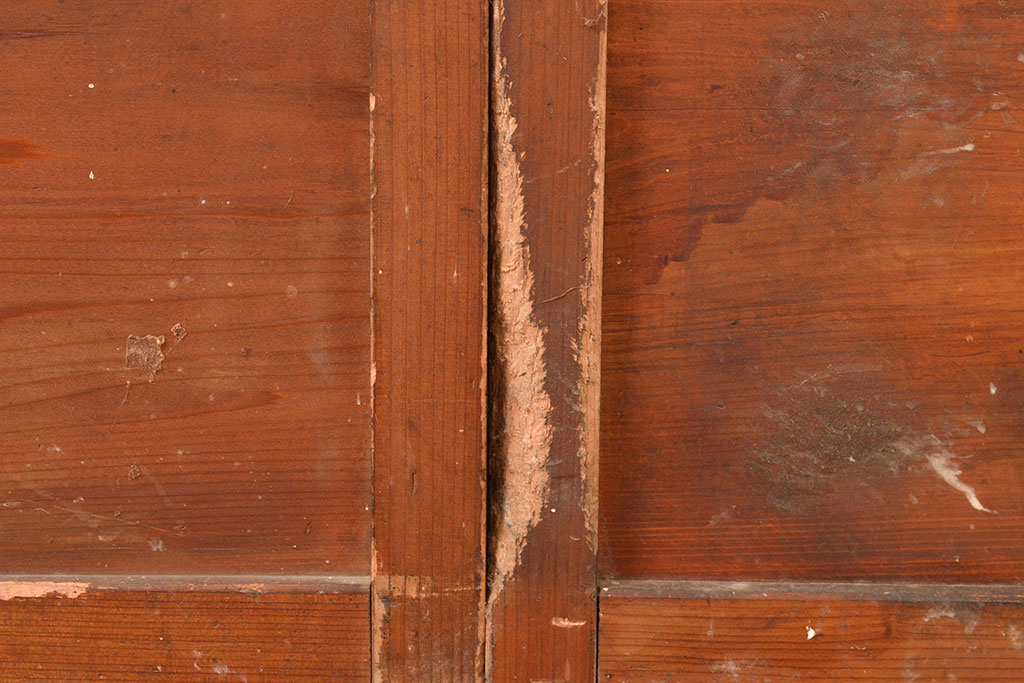 和製アンティーク　くっきりとした木目が味わい深いガラス戸2枚セット(引き戸、建具)(R-048377)