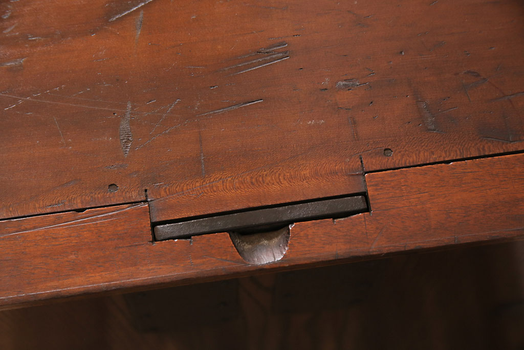 和製アンティーク　天板・楠木材　側面・ケヤキ材　今にも動き出しそうな杢目が目を引くローボード(収納棚、戸棚)、テレビ台)(R-049350)
