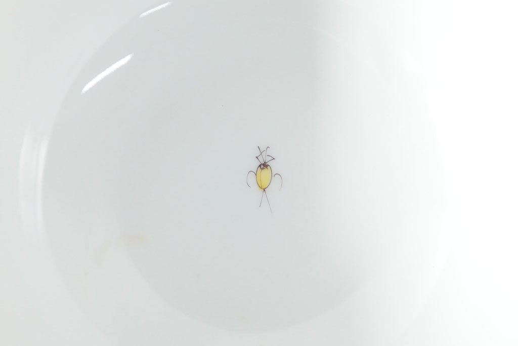 ハンガリー　HEREND　ヘレンド　フルーツコンポジション　カップ&ソーサー3客セット(洋食器)(R-052283)