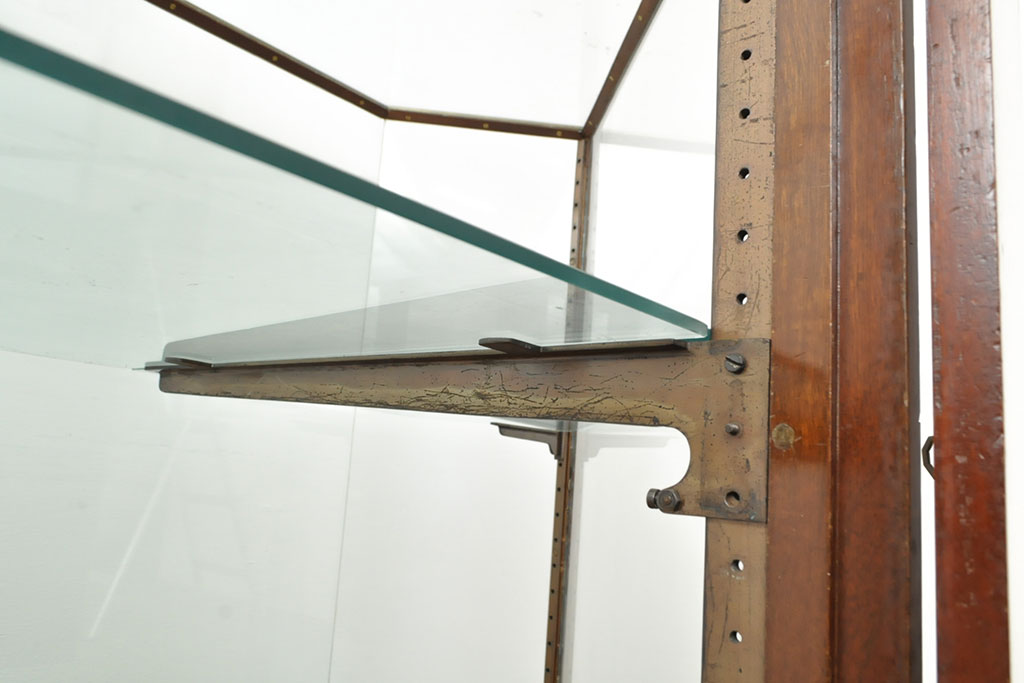 フランスアンティーク　六角形のフォルムが珍しい!フレームに真鍮が使われているガラスケース(ショーケース、陳列棚、店舗什器)(R-052965)